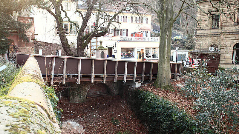 Projektbild  Schloss Heidelberg